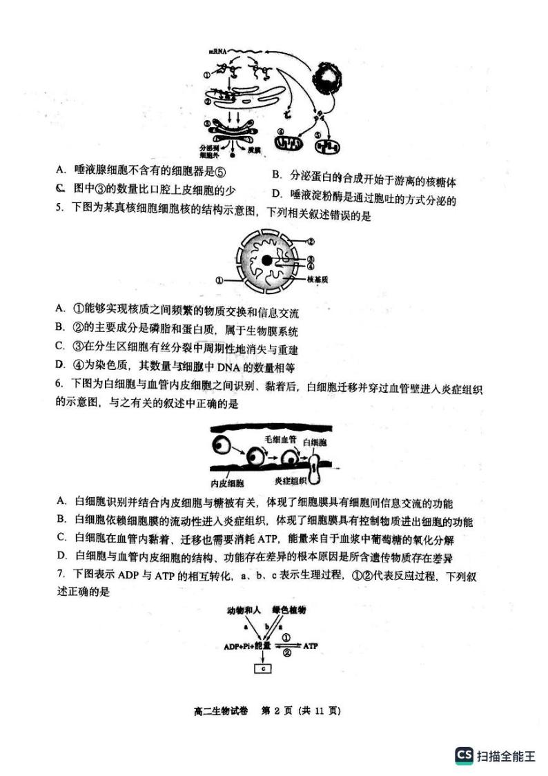 2022-2023学年重庆市巴蜀中学高二上学期第一次月考试题生物PDF版含答案02