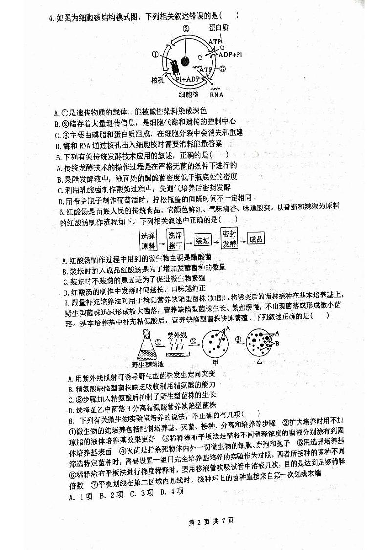福建省厦门双十中学2022-2023学年高二下学期期中考试生物试题02