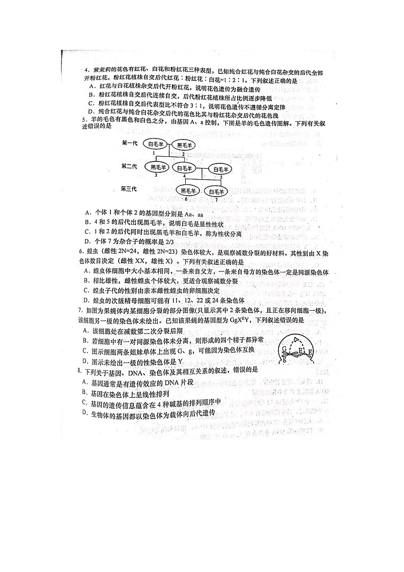 山东省潍坊市2022-2023学年高一下学期生物测试02