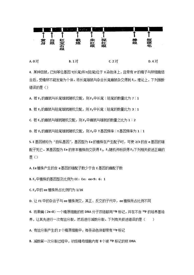 2021-2022学年河南省林州市高一下学期期末考试生物试卷含答案02