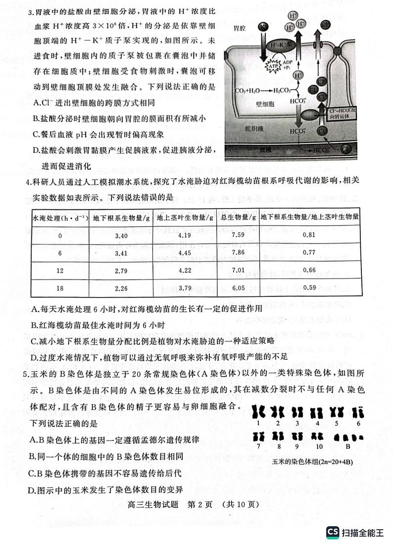 2023届山东省新高考联合模拟（济南二模）考试生物试题含答案02