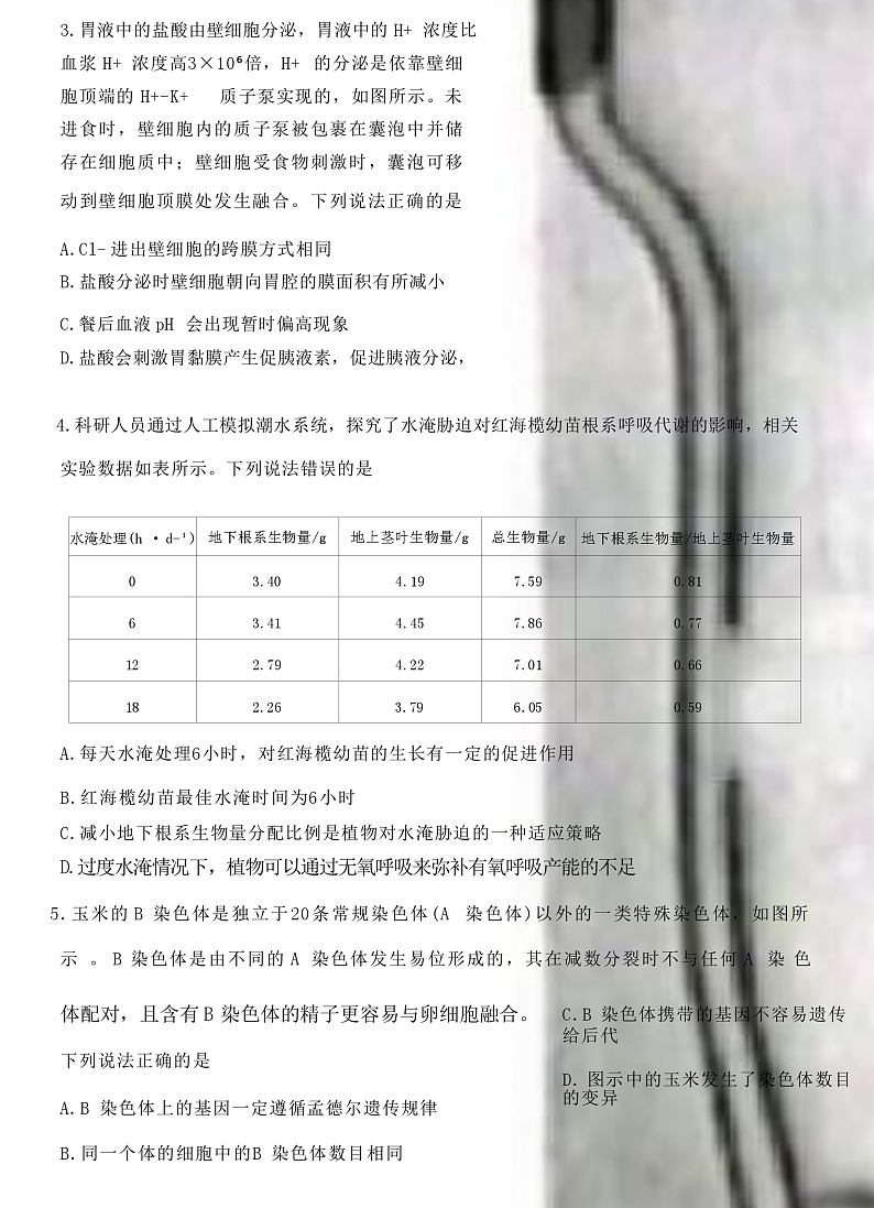 2023届山东省新高考联合模拟（济南二模）考试生物试题含答案03