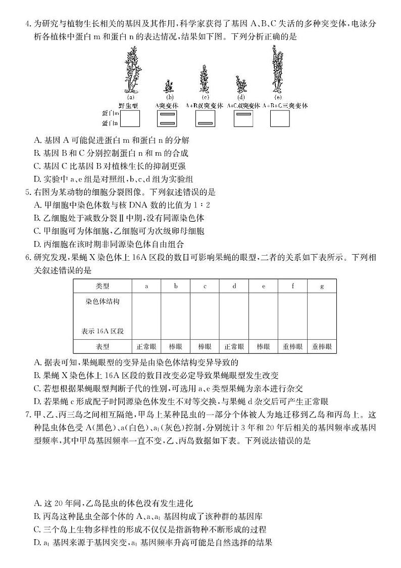 2023届湖南师范大学附属中学高三下学期模拟试卷（二）（二模）生物PDF版含答案02