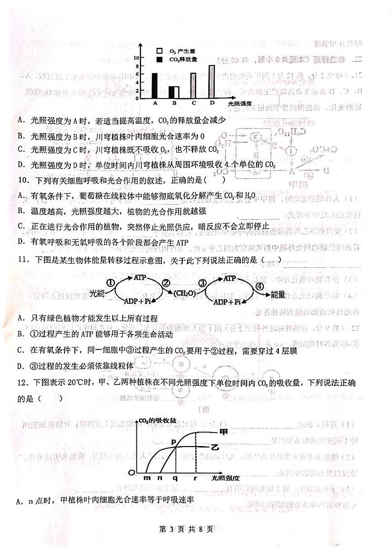 渝东九校联盟高2022-2023学年高一下学期期中诊断性测试生物试卷03