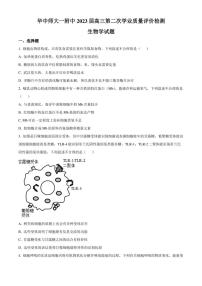 湖北省华中师大一附中2022-2023学年高三第二次学业质量评价检测（下学期期中考试）生物试题 Word版无答案