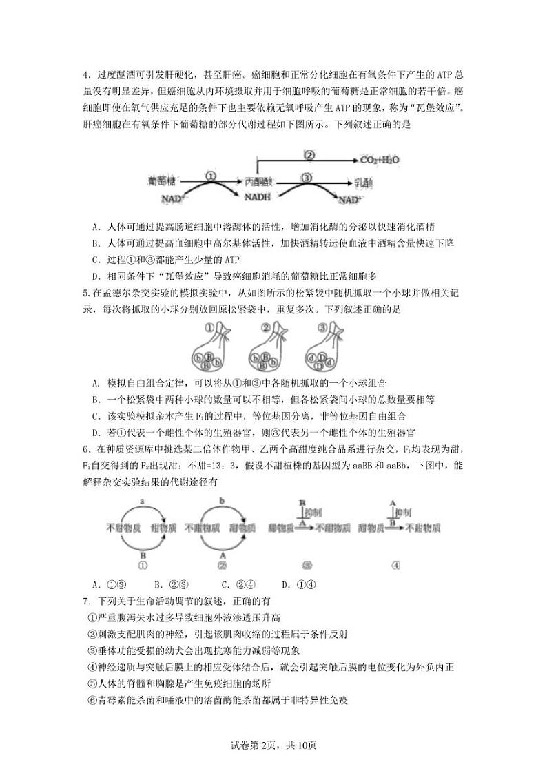 2023届辽宁省沈阳市第二中学高三第三次模拟考试生物试题word版第2页
