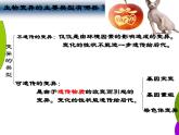 5.1基因突变和基因重组-2020-2021学年高一生物人教版(2019)必修2