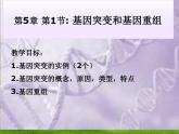 5.1基因突变和基因重组-2020-2021学年高一生物人教版(2019)必修2