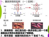 5.1基因突变和基因重组-2020-2021学年高一生物人教版(2019)必修2