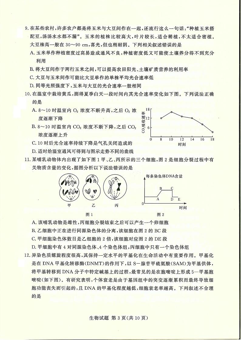 2022-2023学年湘豫名校联考高三一轮复习诊断考试生物试卷（10月份）第3页