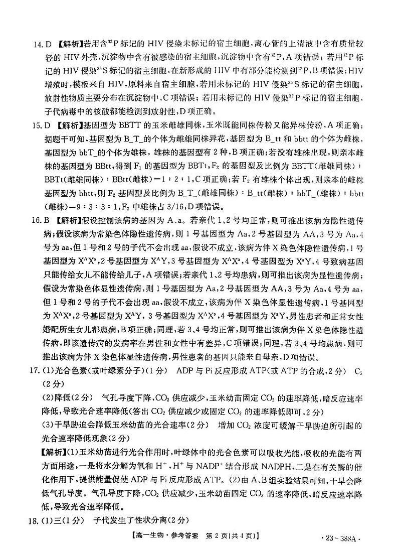 2022-2023学年广东省兴宁市高一下学期4月期中联考生物试题含答案02