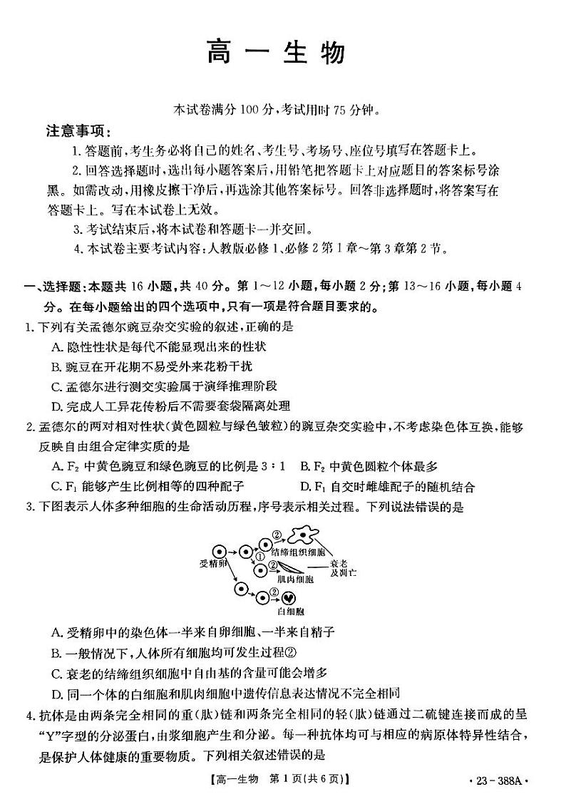 2022-2023学年广东省兴宁市高一下学期4月期中联考生物试题含答案01