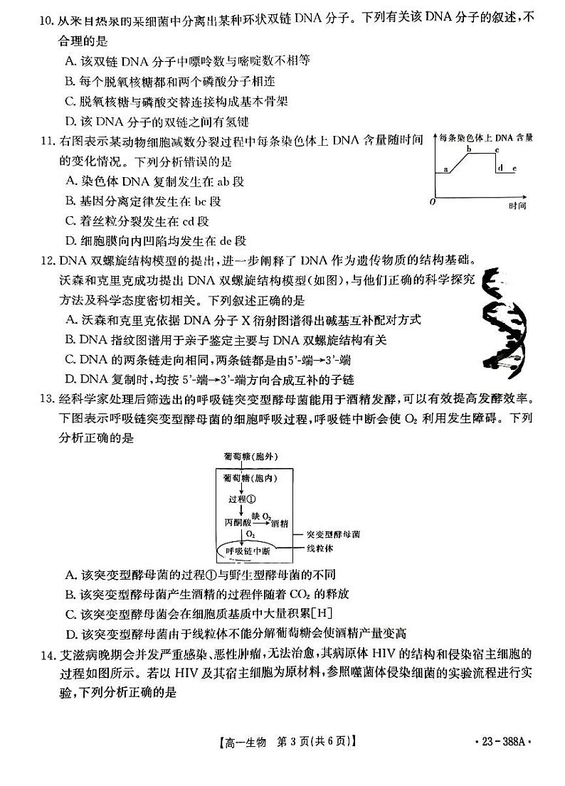 2022-2023学年广东省兴宁市高一下学期4月期中联考生物试题含答案03