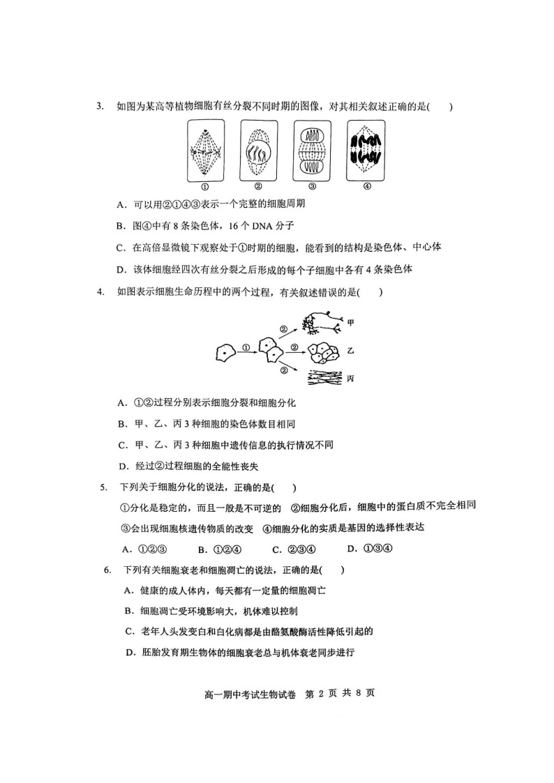 2022-2023学年湖北省部分普通高中联盟高一下学期期中联考生物试卷02