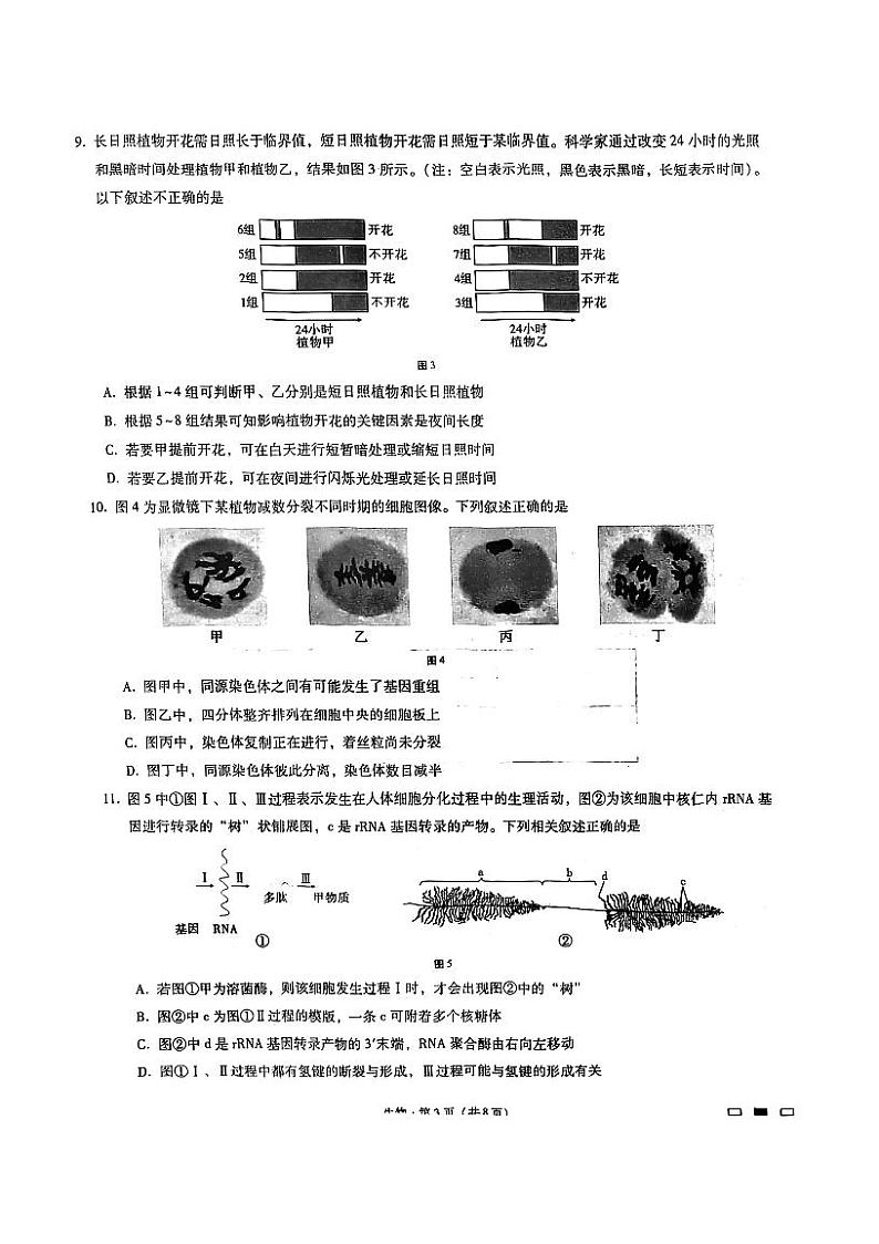 重庆巴蜀中学2023届高考适应性月考卷（六）生物试题第3页