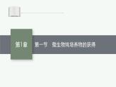 北师大版高中生物选择性必修三微生物纯培养物的获得课件