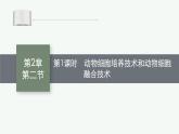 北师大版高中生物选择性必修三动物细胞培养技术和动物细胞融合技术课件