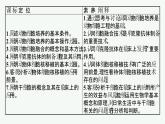 北师大版高中生物选择性必修三动物细胞培养技术和动物细胞融合技术课件