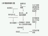 北师大版高中生物选择性必修三动物细胞核移植技术和干细胞的研究与应用课件