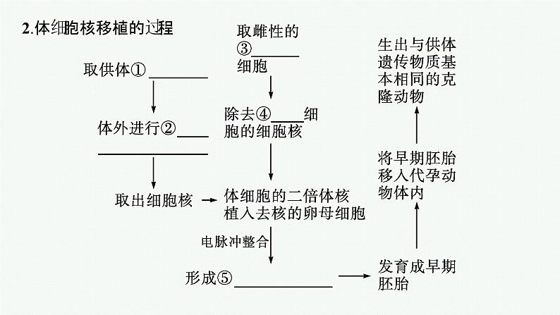 北师大版高中生物选择性必修三动物细胞核移植技术和干细胞的研究与应用课件第5页