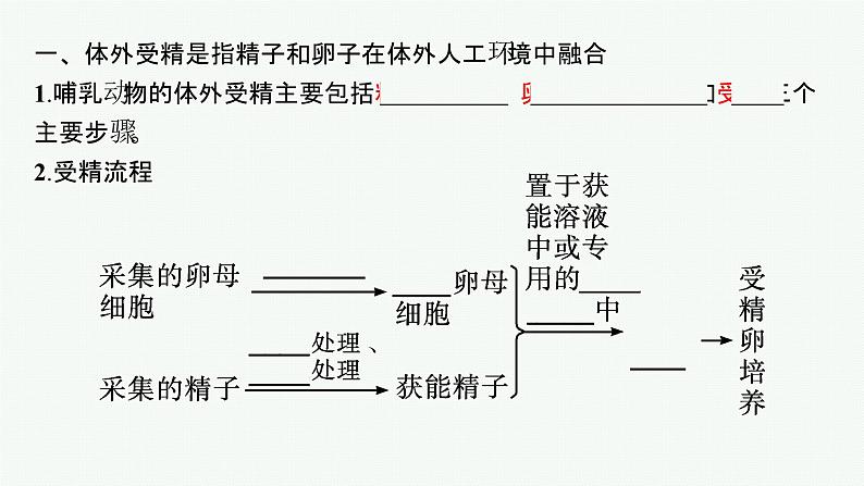 北师大版高中生物选择性必修三胚胎工程的技术手段课件04