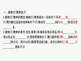 北师大版高中生物选择性必修三植物细胞工程课件