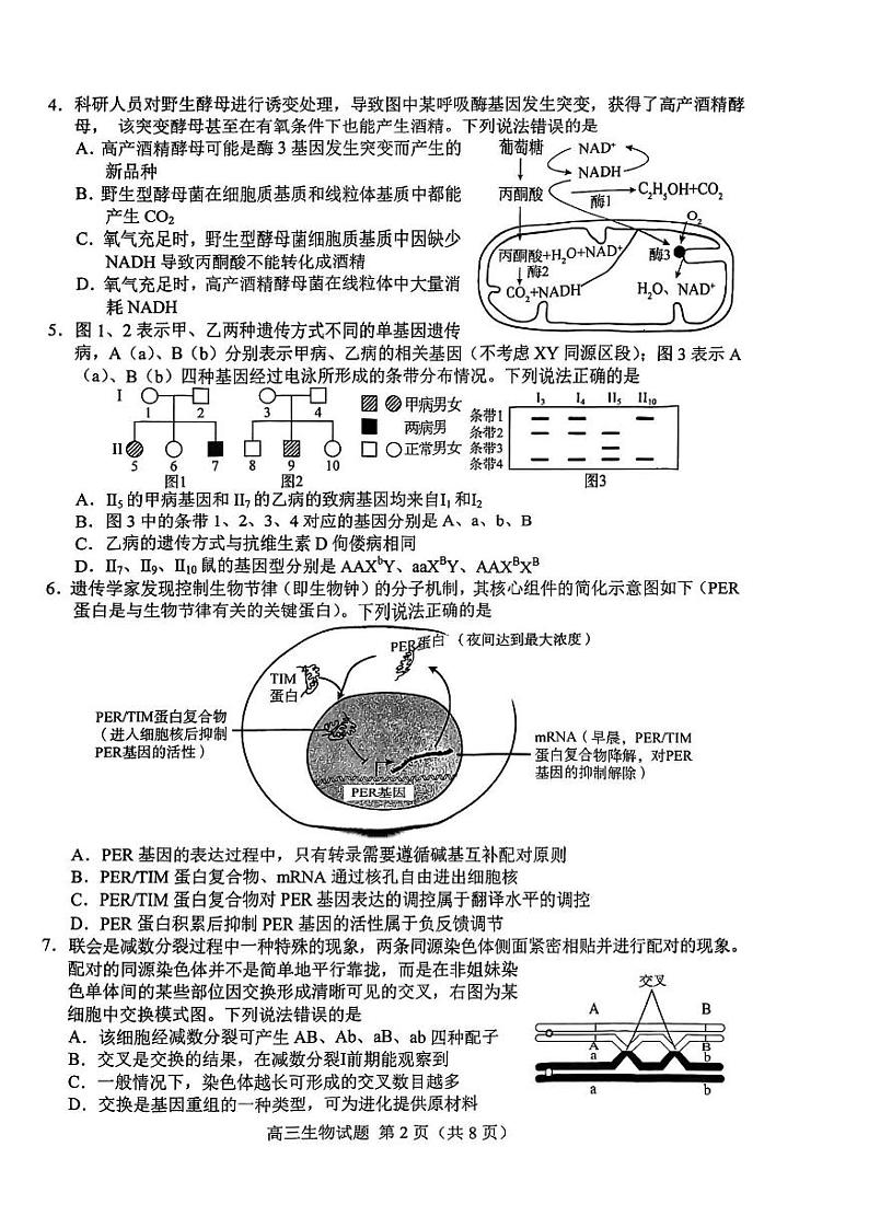 2022-2023学年山东省菏泽市高三下学期2月一模试题生物PDF版含答案02