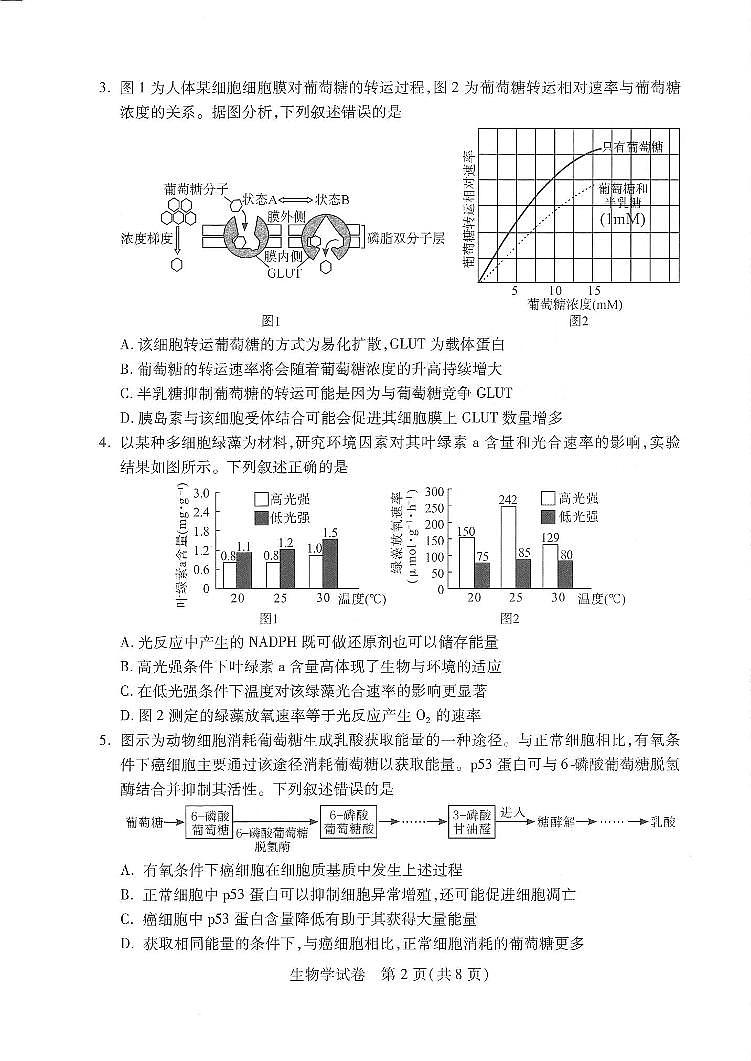 2022-2023学年湖北省武汉市高三下学期2月调研考试生物PDF版含答案02