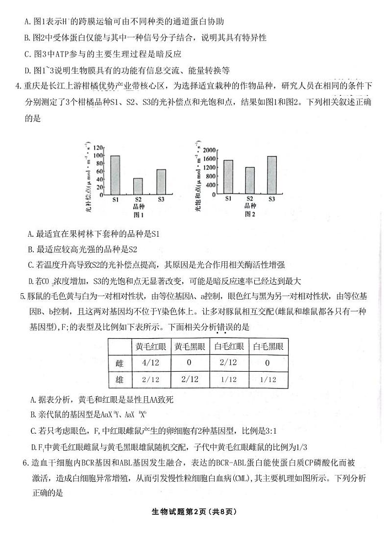 重庆市高2023届高三第六次质量检测生物试题第2页