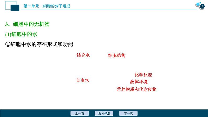 高中生物高考1 第1讲　细胞中的无机物、糖类和脂质课件PPT07