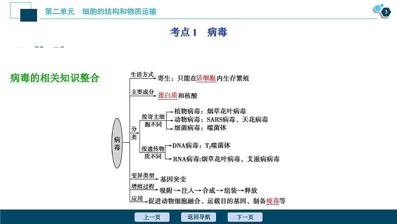 高中生物高考1 第3讲　多种多样的细胞课件PPT第4页