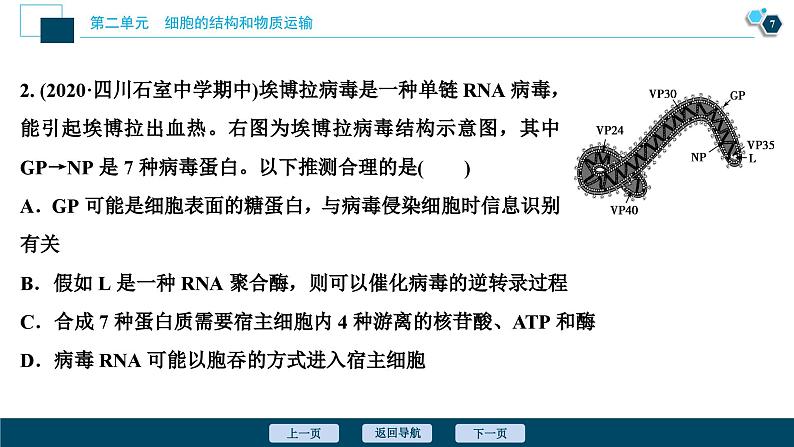 高中生物高考1 第3讲　多种多样的细胞课件PPT第8页