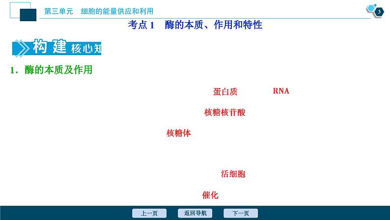 高中生物高考1 第7讲　降低化学反应活化能的酶课件PPT第4页