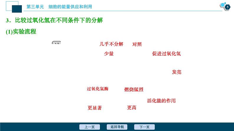 高中生物高考1 第7讲　降低化学反应活化能的酶课件PPT第6页