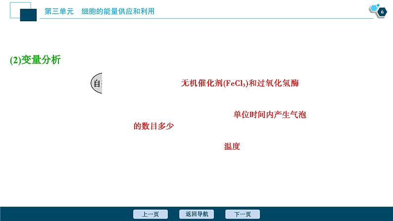 高中生物高考1 第7讲　降低化学反应活化能的酶课件PPT第7页