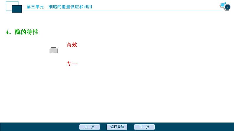 高中生物高考1 第7讲　降低化学反应活化能的酶课件PPT第8页