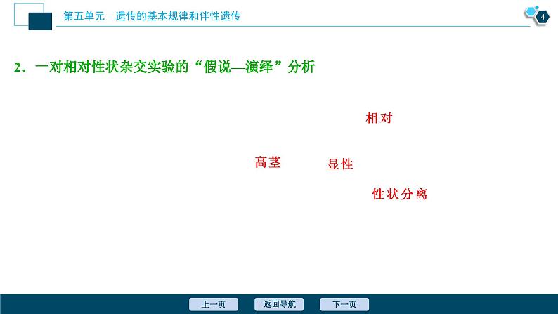 高中生物高考1 第13讲　基因的分离定律课件PPT第5页