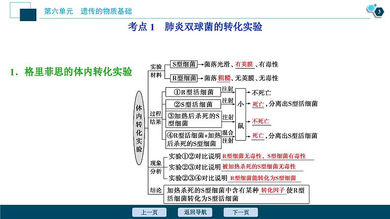 高中生物高考1 第17讲　DNA是主要的遗传物质课件PPT04