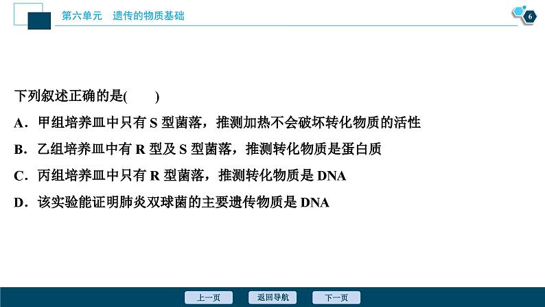 高中生物高考1 第17讲　DNA是主要的遗传物质课件PPT07