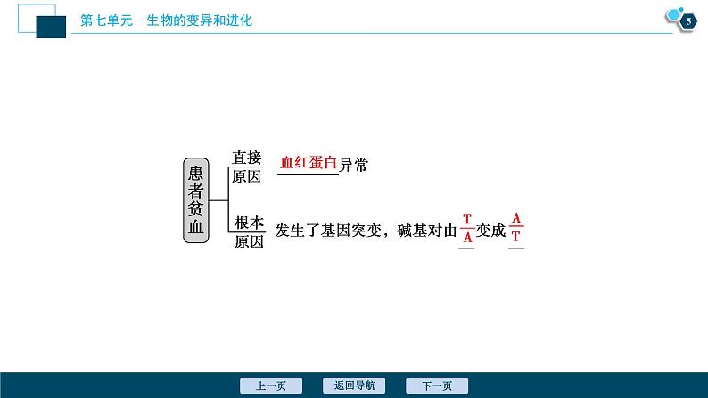 高中生物高考1 第20讲　基因突变和基因重组课件PPT06