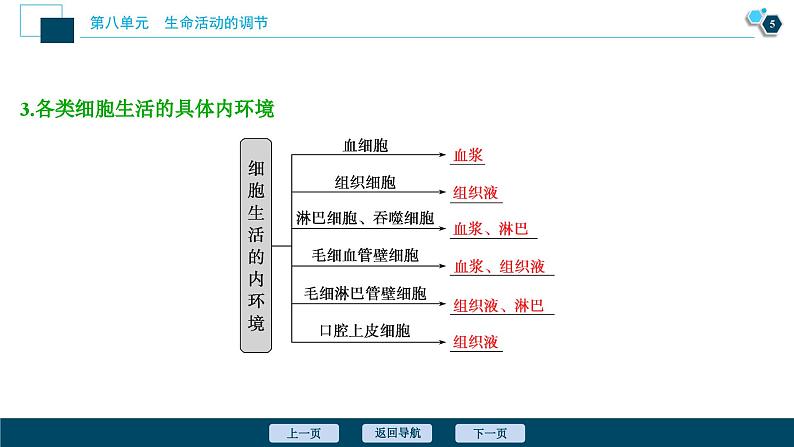 高中生物高考1 第23讲　人体的内环境与稳态课件PPT第6页