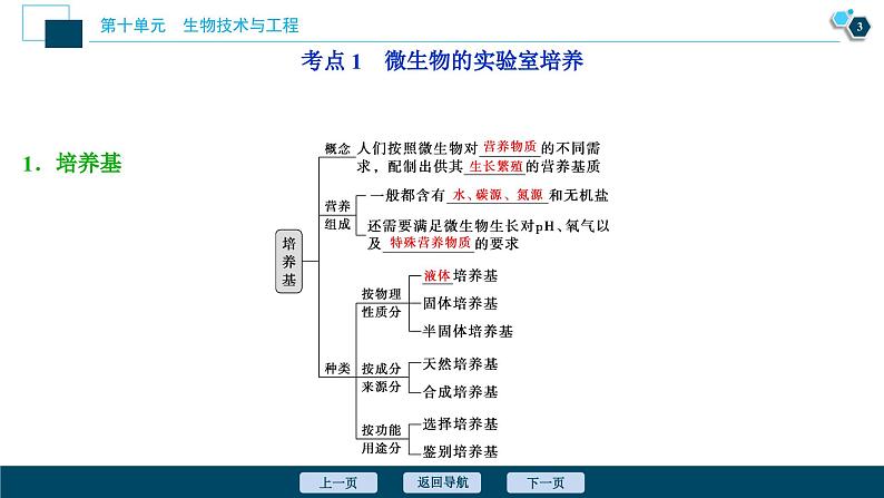 高中生物高考1 第33讲　发酵工程课件PPT04