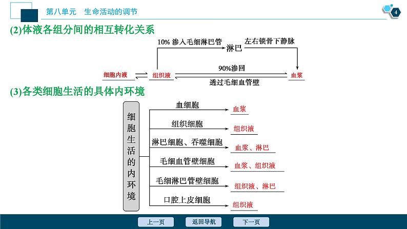 高中生物高考1　第八单元　第23讲　人体的内环境稳态及实例分析课件PPT第5页