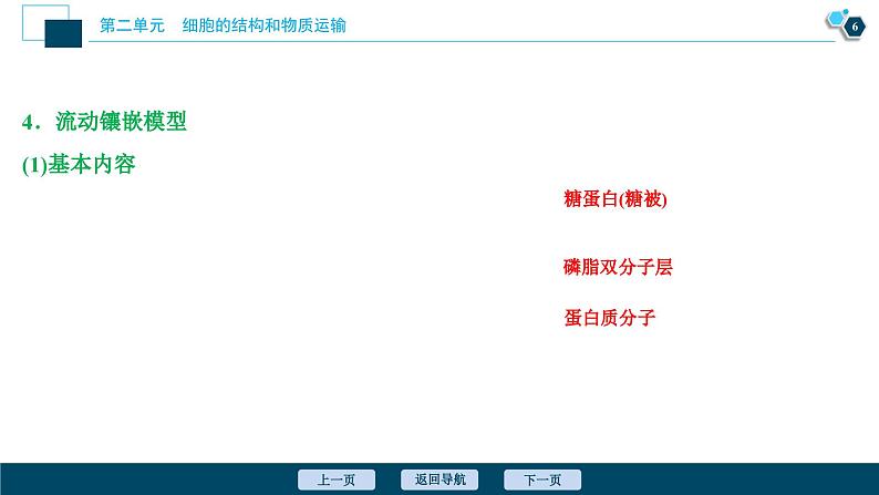高中生物高考1　第二单元　第5讲　细胞膜和细胞核课件PPT07