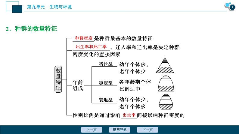 高中生物高考1　第九单元　第28讲　种群的特征　种群数量的变化课件PPT05