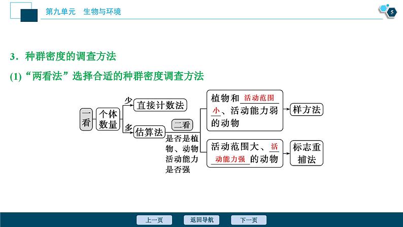 高中生物高考1　第九单元　第28讲　种群的特征　种群数量的变化课件PPT06