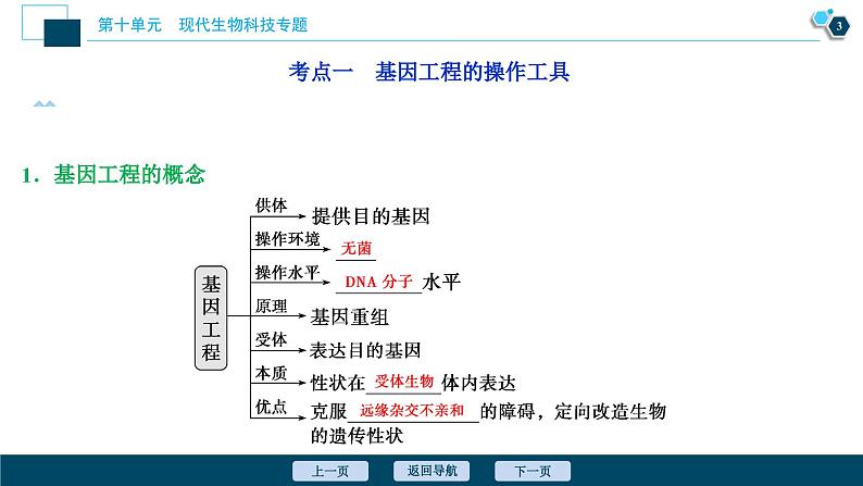 高中生物高考1　第十单元　第33讲　基因工程课件PPT第4页