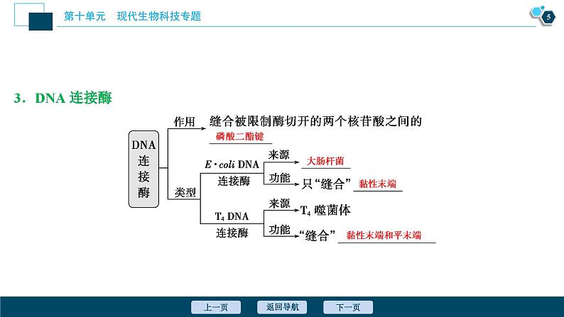 高中生物高考1　第十单元　第33讲　基因工程课件PPT第6页