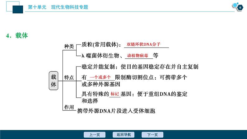 高中生物高考1　第十单元　第33讲　基因工程课件PPT第7页