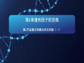 1.1孟德尔的豌豆杂交实验(一)课件2020-2021学年高一生物人教版(2019)必修二